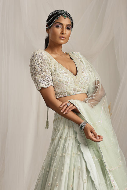 Embroidered Lehenga and Dupatta