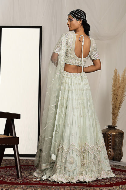 Embroidered Lehenga and Dupatta