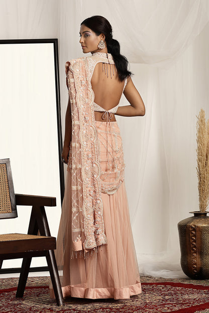 Embroidered Blouse with Pre-Stitched Saree
