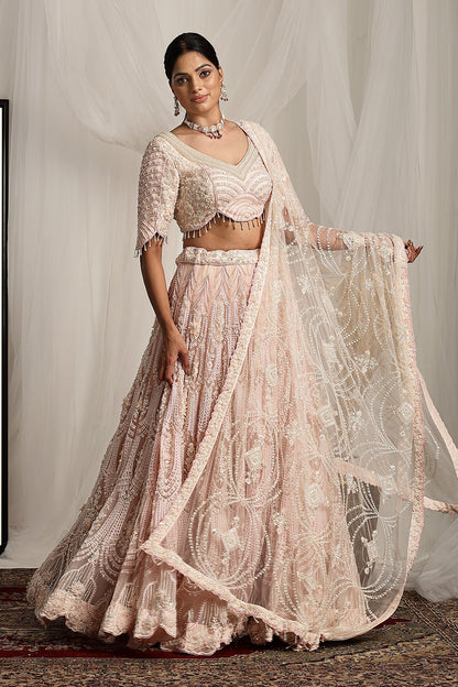 Embroidered Lehenga and Dupatta