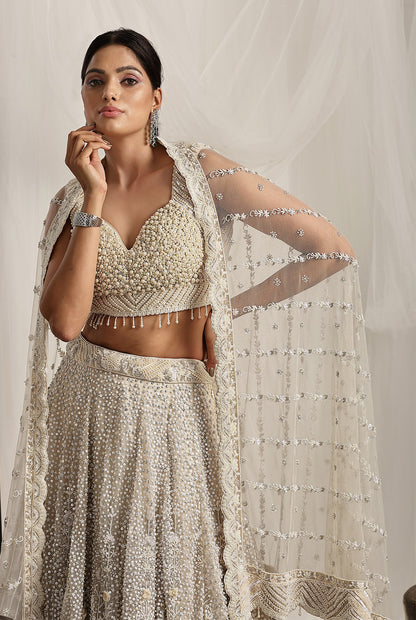 Embroidered Lehenga and Dupatta
